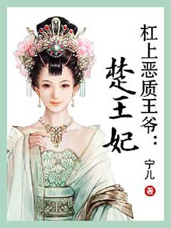 Chu Wang Fei (Novel)