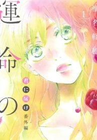 Kimi ni Todoke Special ～Soulmate～