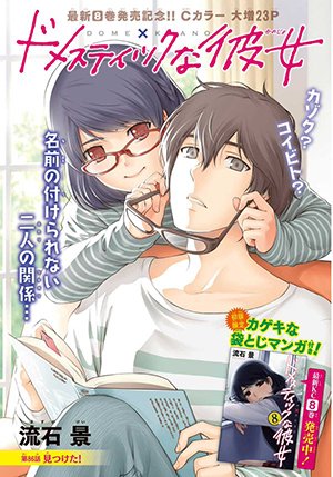 Domestic na Kanojo Manga