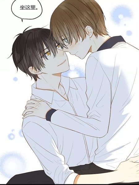 Training Relationship