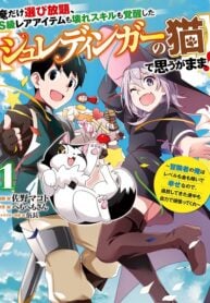 Only I can choose as many S-class rare items and broken skills as I want with the awakened