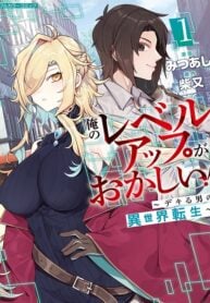 Ore no Level Up ga Okashi! ~ Dekiru Otoko no Isekai Tensei