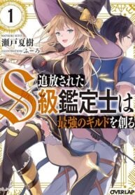 The Kicked Out S-Rank Appraiser Creates the Strongest Guild